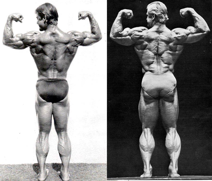 tom platz yg  ytheb